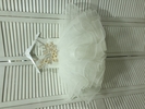 IMG_10493.jpg_product_product_product_product_product_product_product_product_product_product_product_product_product_product_