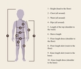 Measurements11989.jpeg